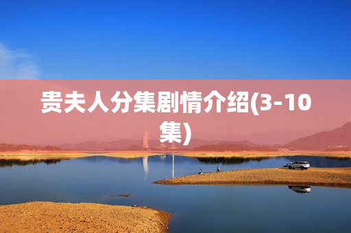 贵夫人分集剧情介绍(3-10集)