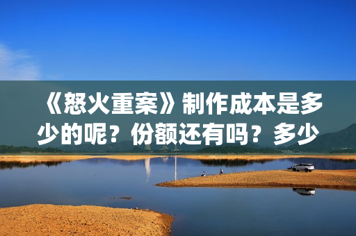 《怒火重案》制作成本是多少的呢？份额还有吗？多少起投呢？(怒火重案口碑炸裂)