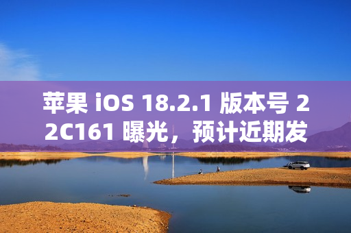 苹果 iOS 18.2.1 版本号 22C161 曝光，预计近期发布