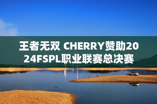 王者无双 CHERRY赞助2024FSPL职业联赛总决赛