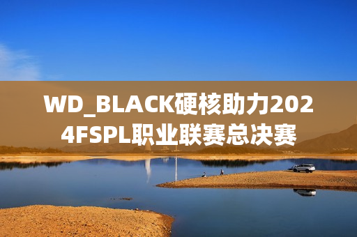 WD_BLACK硬核助力2024FSPL职业联赛总决赛