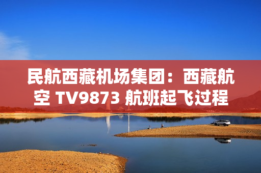 民航西藏机场集团：西藏航空 TV9873 航班起飞过程中遭遇鸟击，无人员受伤、飞机各项参数正常