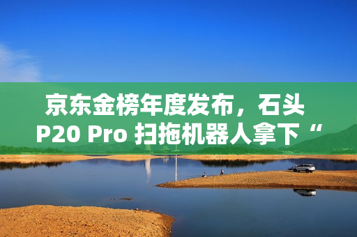 京东金榜年度发布，石头 P20 Pro 扫拖机器人拿下“2024 新品金奖”