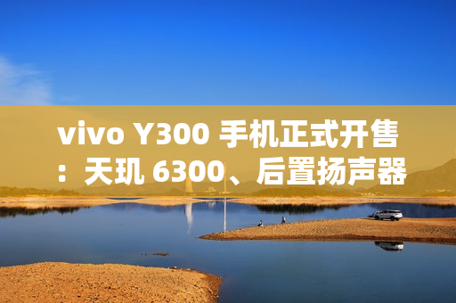 vivo Y300 手机正式开售：天玑 6300、后置扬声器设计，1399 元起