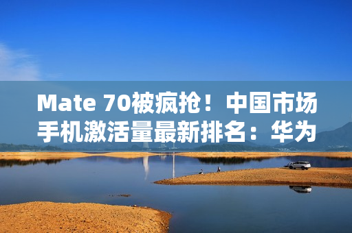 Mate 70被疯抢！中国市场手机激活量最新排名：华为拿下第一