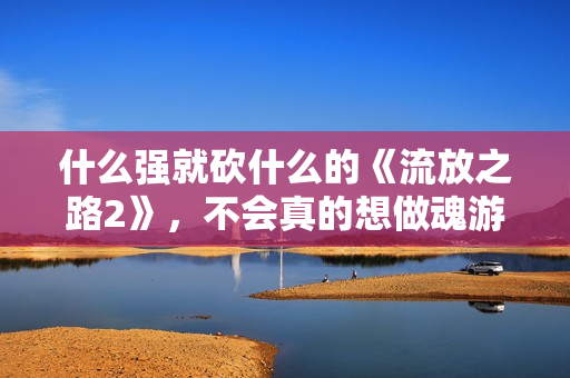 什么强就砍什么的《流放之路2》，不会真的想做魂游吧？