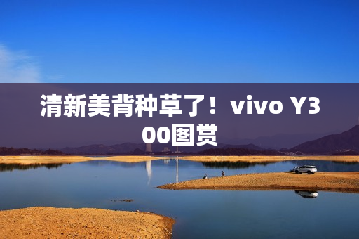 清新美背种草了!vivo Y300图赏 清新美背种草了!vivo Y300图赏