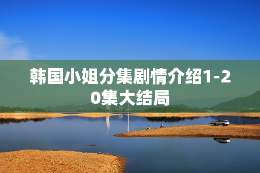 韩国小姐分集剧情介绍1-20集大结局