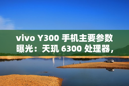 vivo Y300 手机主要参数曝光：天玑 6300 处理器，明日发布