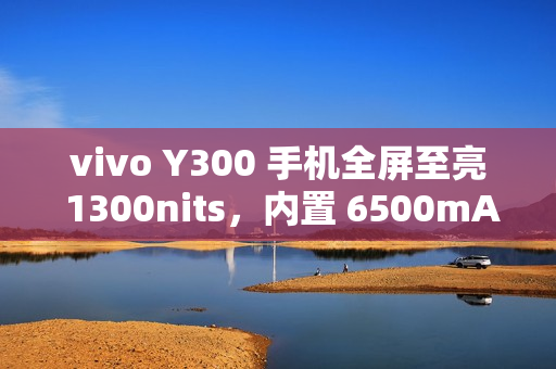 vivo Y300 手机全屏至亮 1300nits，内置 6500mAh 蓝海电池
