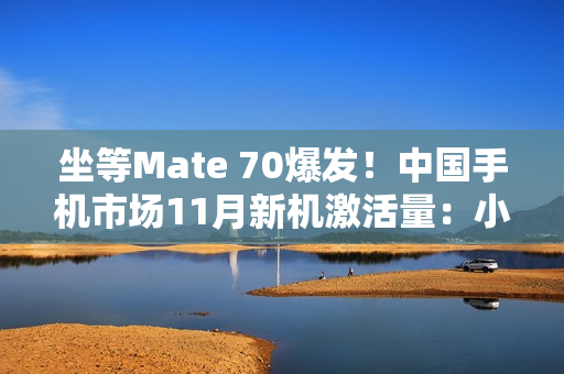 坐等Mate 70爆发！中国手机市场11月新机激活量：小米力压华为、苹果第一