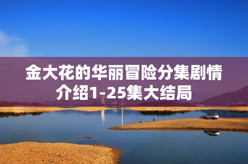 金大花的华丽冒险分集剧情介绍1-25集大结局