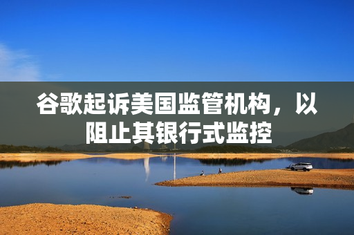 谷歌起诉美国监管机构，以阻止其银行式监控