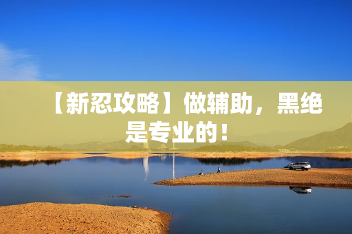 【新忍攻略】做辅助，黑绝是专业的！