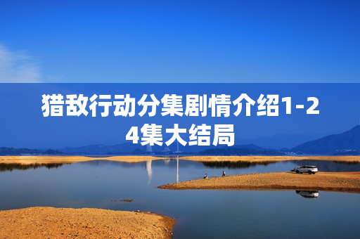 猎敌行动分集剧情介绍1-24集大结局