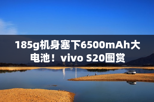 185g机身塞下6500mAh大电池！vivo S20图赏