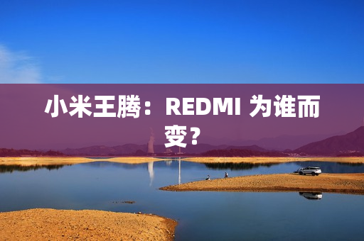 小米王腾：REDMI 为谁而变？