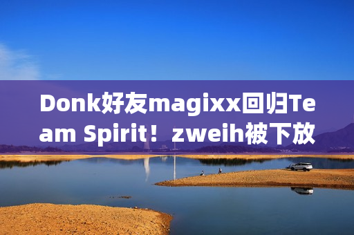 Donk好友magixx回归Team Spirit!zweih被下放至替补 Donk好友magixx回归Team Spirit!zweih被下放至替补