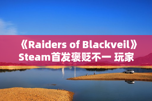 《Raiders of Blackveil》Steam首发褒贬不一 玩家：土豆服务器还敢强制联网？