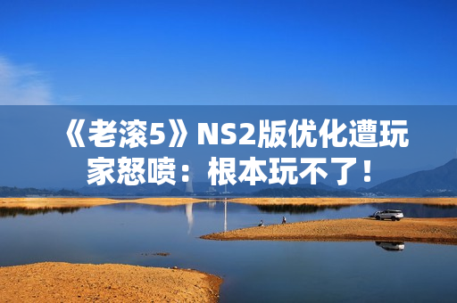 《老滚5》NS2版优化遭玩家怒喷:根本玩不了! 《老滚5》NS2版优化遭玩家怒喷:根本玩不了!
