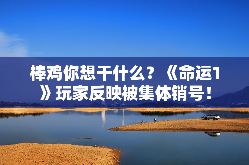 棒鸡你想干什么？《命运1》玩家反映被集体销号！