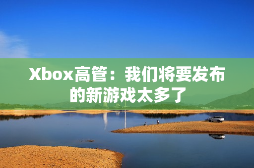 Xbox高管:我们将要发布的新游戏太多了 Xbox高管:我们将要发布的新游戏太多了