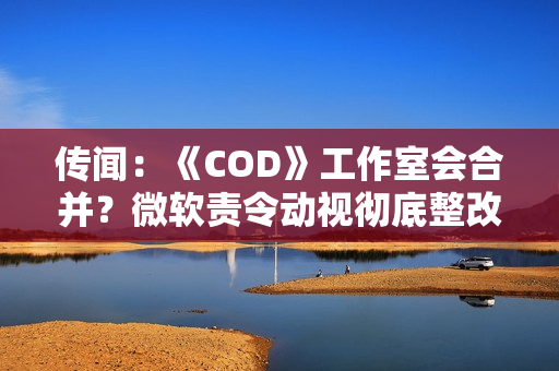 传闻：《COD》工作室会合并？微软责令动视彻底整改