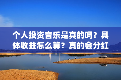 个人投资音乐是真的吗？具体收益怎么算？真的会分红吗？(个人投资音乐是做什么的)