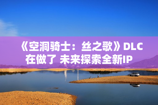 《空洞骑士：丝之歌》DLC在做了 未来探索全新IP