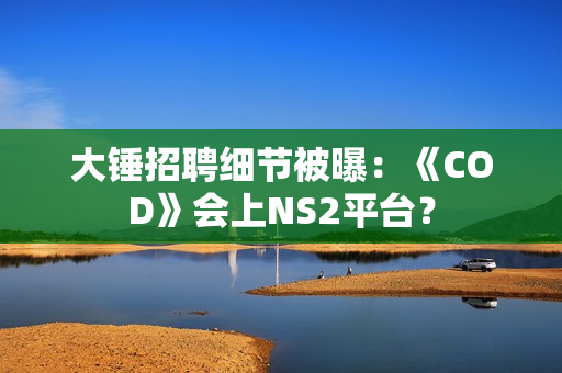 大锤招聘细节被曝：《COD》会上NS2平台？