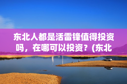 东北人都是活雷锋值得投资吗，在哪可以投资？(东北人都是活雷锋雪村mv)
