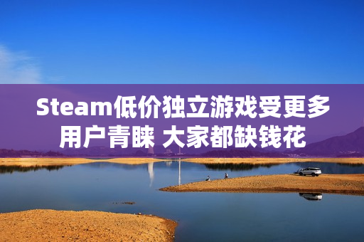 Steam低价独立游戏受更多用户青睐 大家都缺钱花