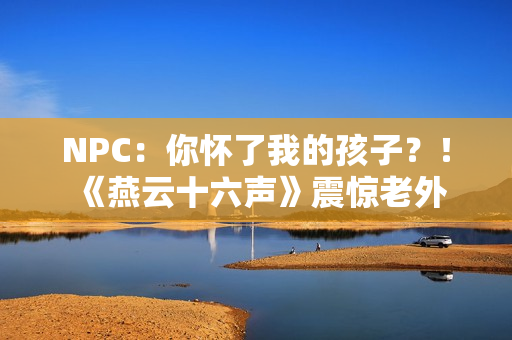 NPC：你怀了我的孩子？！《燕云十六声》震惊老外