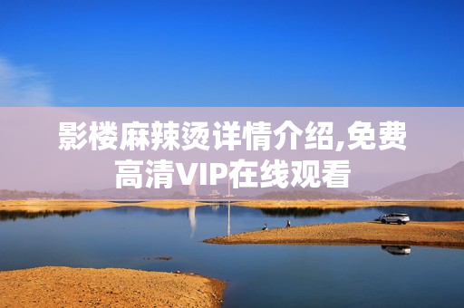 影楼麻辣烫详情介绍,免费高清VIP在线观看