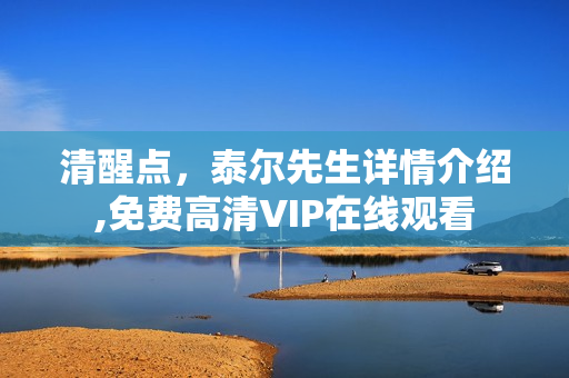 清醒点，泰尔先生详情介绍,免费高清VIP在线观看