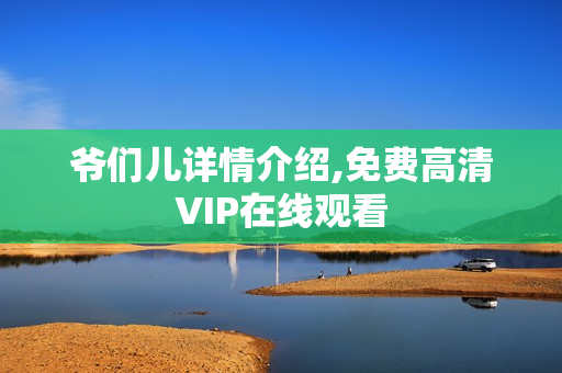爷们儿详情介绍,免费高清VIP在线观看