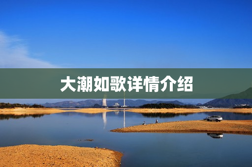 大潮如歌详情介绍 大潮如歌详情介绍