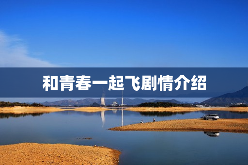 和青春一起飞剧情介绍