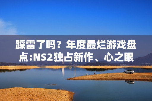 踩雷了吗？年度最烂游戏盘点:NS2独占新作、心之眼等