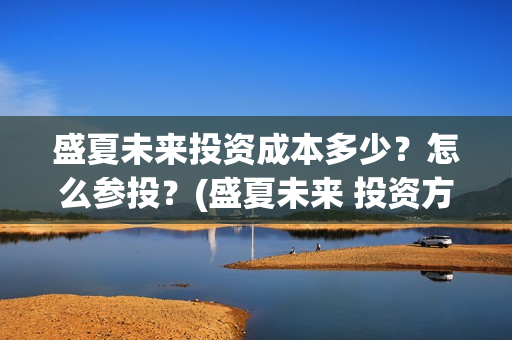 盛夏未来投资成本多少？怎么参投？(盛夏未来 投资方)