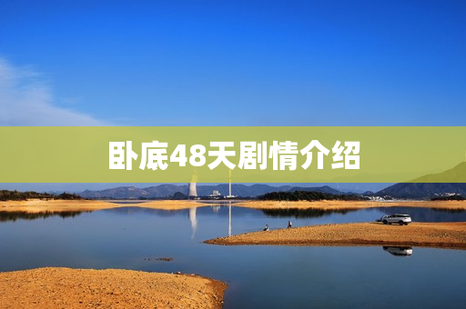 卧底48天剧情介绍