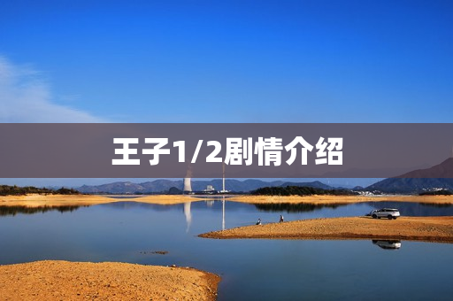 王子1/2剧情介绍