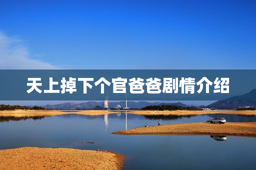 天上掉下个官爸爸剧情介绍