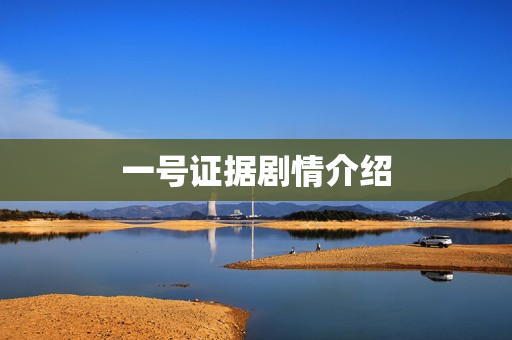 一号证据剧情介绍