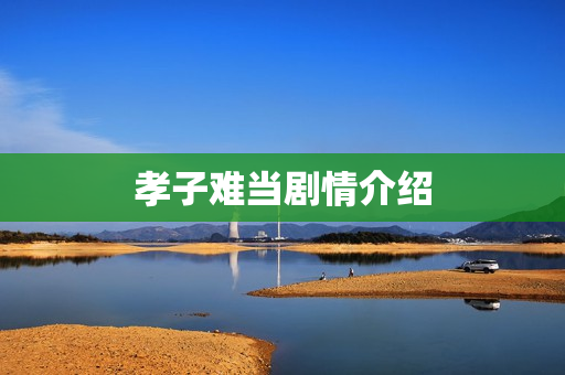 孝子难当剧情介绍