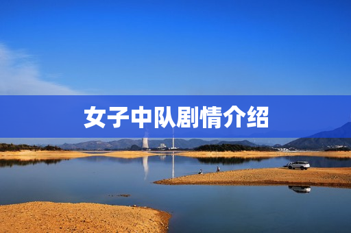 女子中队剧情介绍 女子中队剧情介绍