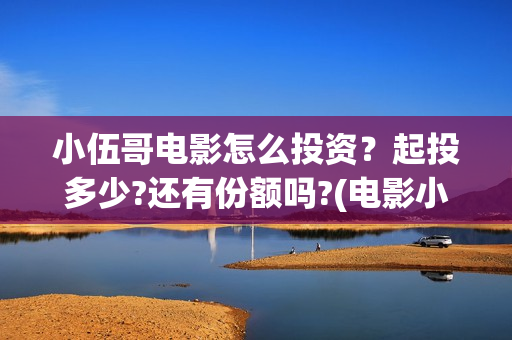 小伍哥电影怎么投资？起投多少?还有份额吗?(电影小伍哥内容简介)