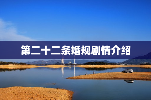 第二十二条婚规剧情介绍