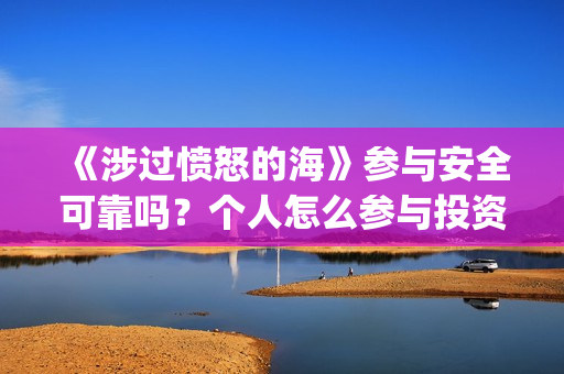 《涉过愤怒的海》参与安全可靠吗？个人怎么参与投资？(涉过愤怒的海事件原型)