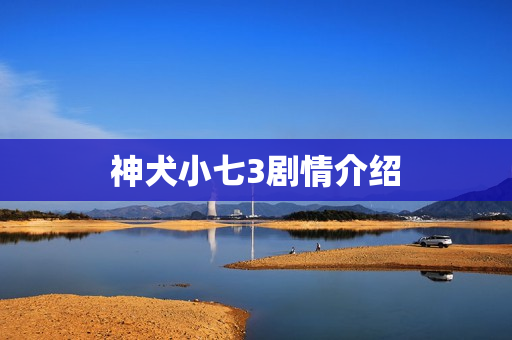 神犬小七3剧情介绍